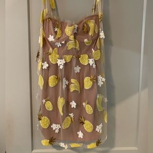 Short lace dress with tan slip under